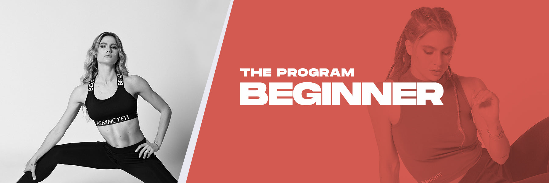 The Program Beginner