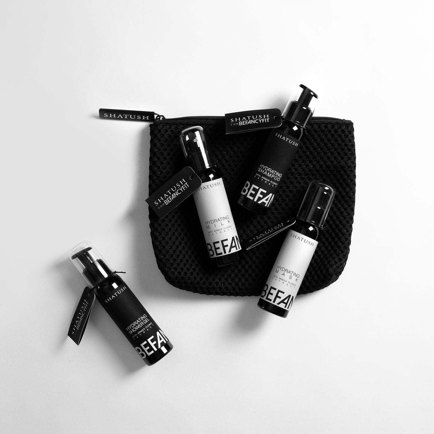 THE TRAVEL KIT Shatush for  BeFancyFit